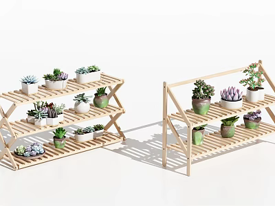 Succulent Plants Arranged on Wooden Multiple Tier Shelves with Different Varieties 3d model