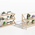 Succulent Plants Arranged on Wooden Multiple Tier Shelves with Different Varieties
