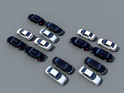 Black And White Cars Neatly Arranged In Rows On Parking Lot 3d model