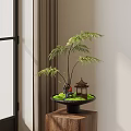 Bonsai Plant With Green Ferns Black Pot Small Pavilion And Green Moss On Wooden Table