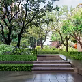 Residential Landscape Design With Stone Steps Lush Trees Greenery Shrubs And Paved Pathway