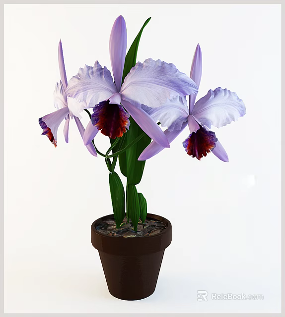 Potted Bonsai Plant With Purple Orchids White Purple Petals Green Leaves And Brown Pot 3d model 