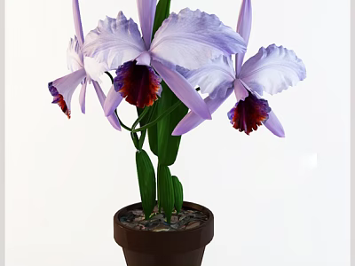 Potted Bonsai Plant With Purple Orchids White Purple Petals Green Leaves And Brown Pot 3d model