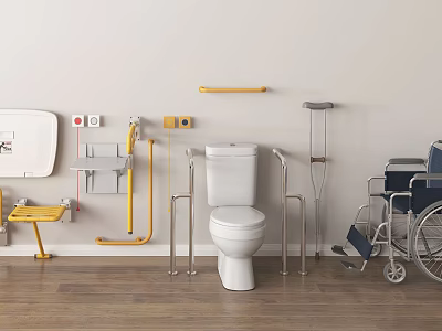 Practical Accessible Armchair For Bathroom With Safety Rails And Wheelchair 3d model