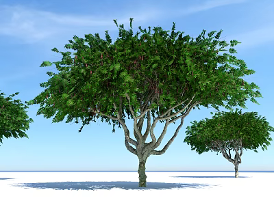 Tall Arbor Tree With Lush Green Canopy And Multiple Trunks Under Blue Sky 3d model