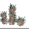 Decorative Floral Arrangement With Pink White Flowers Green Leaves And Geometric Frames