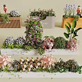 Beautiful Flowers and Plants in Decorative Planters with Lavender Pink Blooms and Green Foliage
