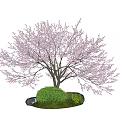 Beautiful Arbor With Pink Blossoms Surrounded By Green Shrubs And Stones
