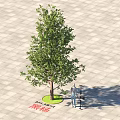 Green Leafy Arbor on Paved Square Ground With People and Red Signage