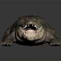 Crocodile Alligator Nile Crocodile carnivore reptile cold-blooded animal reptile 3d model
