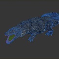 Crocodile Alligator Nile Crocodile carnivore reptile cold-blooded animal reptile reptile 3d model