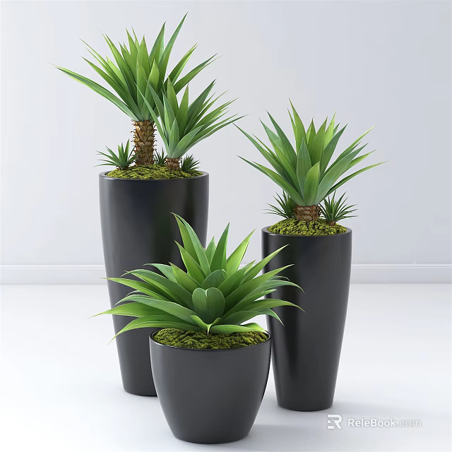 Bonsai Potted Plants With Green Foliage In Black Planters And Moss Decor 3d model 