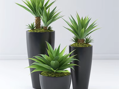 Bonsai Potted Plants With Green Foliage In Black Planters And Moss Decor 3d model