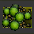 Cartoon Style Forest Scene With Green Trees Yellow Fruits Brick Path Stones And Flowers