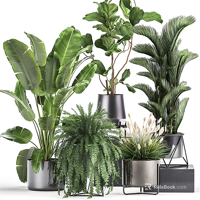 Potted Bonsai Plants With Various Green Foliage In Metal Planters And Stands 3d model 