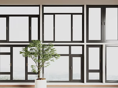 Modern Black Frame Casement Windows In Interior With Multiple Panels And Green Plant 3d model