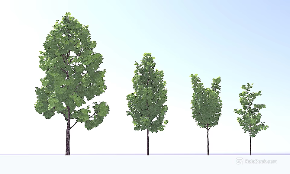 Different Arbor Trees With Lush Green Foliage And Varied Trunks On Light Background 3d model