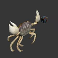 Large White Crab Holding Colorful Rubik's Cube On Gray Background