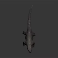 Vibrant Purple and Pink Lizard with Patterned Skin 3D Model on Gray Background