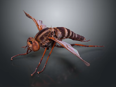 Close Up View Of Flying Insect With Transparent Wings Large Compound Eyes And Striped Body 3d model
