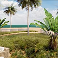 Charming Tropical Beach Cabin Scenery With Lush Palm Trees And Comfortable Seaside Outdoor Lounge