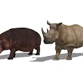 Realistic Hippopotamus And Rhinoceros Figurines Standing Side By Side On White