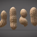 Fresh Whole Peanuts With Various Sizes And Shapes Arranged On Gray Background