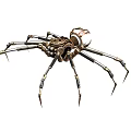 Steampunk Mechanical Spider With Metallic Legs Gears And Vintage Design