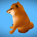 Adorable Shiba Inu Sitting On Blue Background With Friendly Expression And Calm Posture