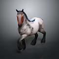White Body Horse With Brown Face Black Mane Blue Accent And Black Legs