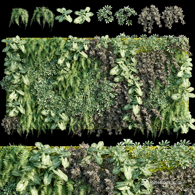 Lush Green Plant Wall With Diverse Foliage 3d model 