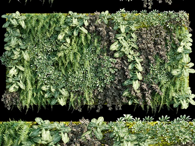 Lush Green Plant Wall With Diverse Foliage 3d model