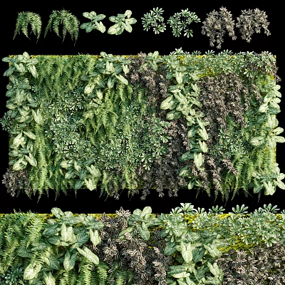 Lush Green Plant Wall With Diverse Foliage 3d model