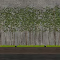 Row Of Bamboo Plants Against Gray Wall In Wooden Planters With Green Grass