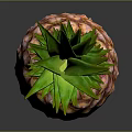 Fresh Ripe Pineapple With Green Leafy Top And Orange Yellow Skin