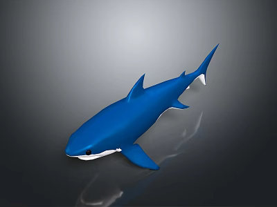 Realistic Blue Shark Model With Smooth Surface And Dark Background Reflection 3d model