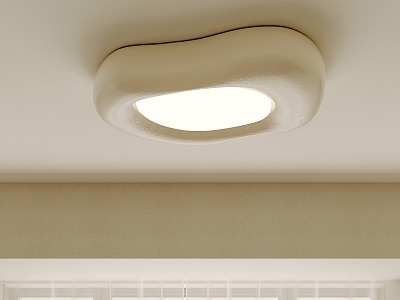 Special-shaped ceiling lamp Ceiling lamp model