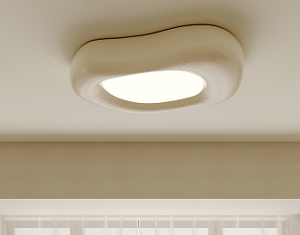 Special-shaped ceiling lamp Ceiling lamp 3d model