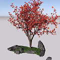 Vibrant Red Leaf Shrub Surrounded by Stones and Green Grass under Blue Sky