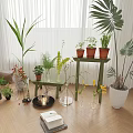 Indoor Plant Combination With Tall Palm Leaves Potted Plants Green Shelf And Decorative Vases
