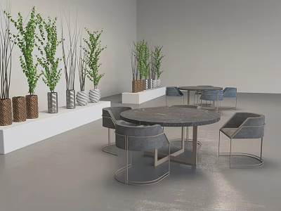 Modern Gray Lounge Chairs With Round Tables Green Plants And White Shelves In Indoor Setting 3d model