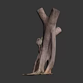 Natural Wood Stump Sculpture With Exposed Roots And Moss On Square Base