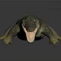 Realistic Aquatic Crocodile 3D Model with Open Mouth on Gray Background and Reflection