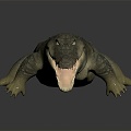 Modern Crocodile Alligator Nile Crocodile carnivore 3d model