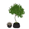 Bonsai Tree With Lush Green Leaves In Dark Square Pot And Small Potted Pink Flowers