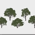 Green Leaf Trees With Various Shapes For Garden Landscape Design 3d model
