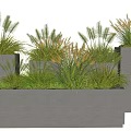 Modern Rectangular Gray Planters With Lush Herbaceous Potted Plants 3d model