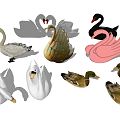 Modern Swan 3d model