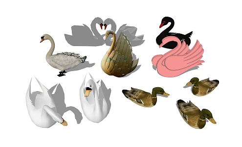 Modern Swan 3d model