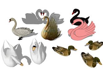 Modern Swan 3d model